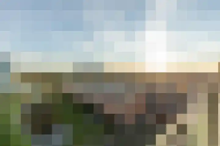 Pieter Calandlaan 1123 Amsterdam thumbnail 6