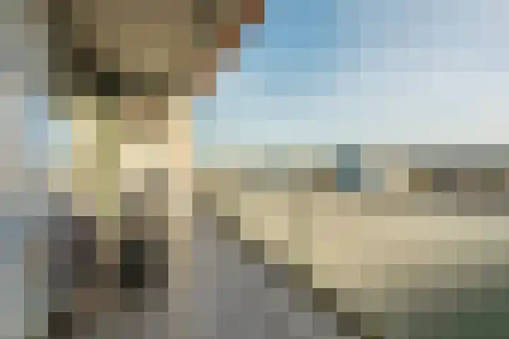 Pieter Calandlaan 1123 Amsterdam thumbnail 8