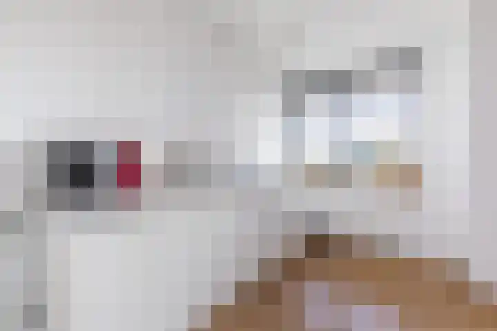 Pieter Calandlaan 1123 Amsterdam thumbnail 9