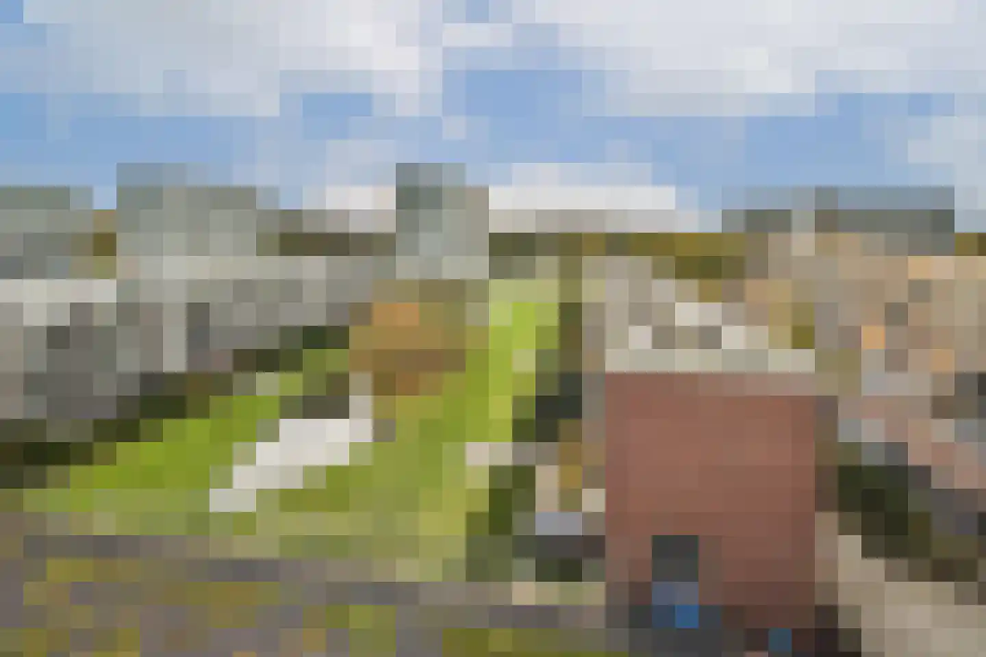 Pieter Calandlaan 1179 Amsterdam thumbnail 17