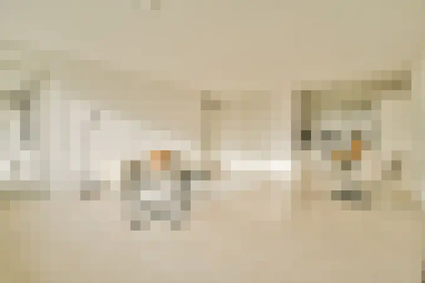 Pieter Calandlaan 1179 Amsterdam thumbnail 8
