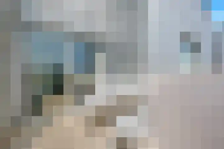 Pieter Calandlaan 226 L Amsterdam thumbnail 11