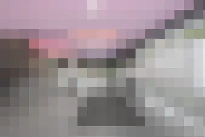 Pieter Calandlaan 226 L Amsterdam thumbnail 22