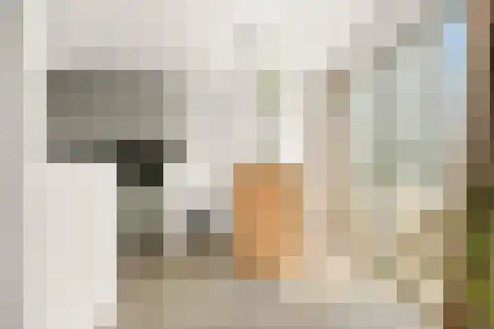 Pieter Calandlaan 226 L Amsterdam thumbnail 6