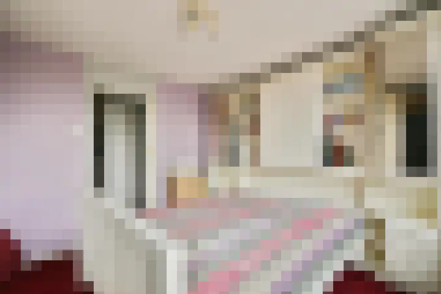 Pieter Calandlaan 235 Amsterdam thumbnail 13
