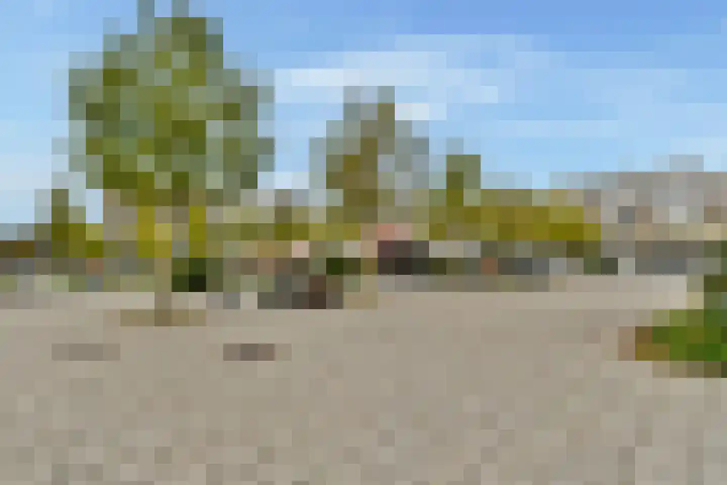 Pieter Calandlaan 235 Amsterdam thumbnail 22