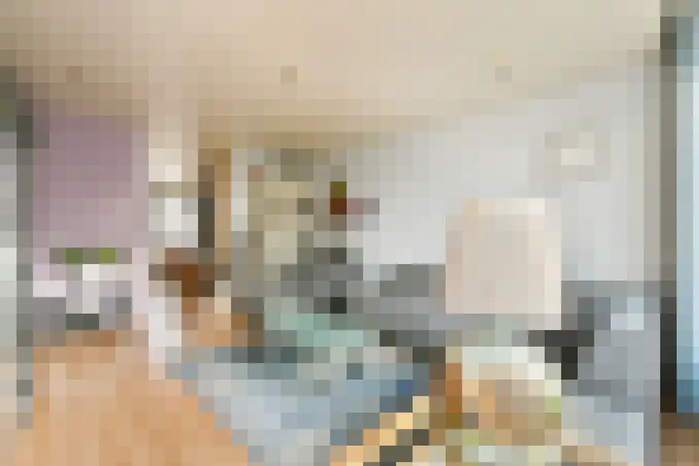 Pieter Calandlaan 235 Amsterdam thumbnail 6