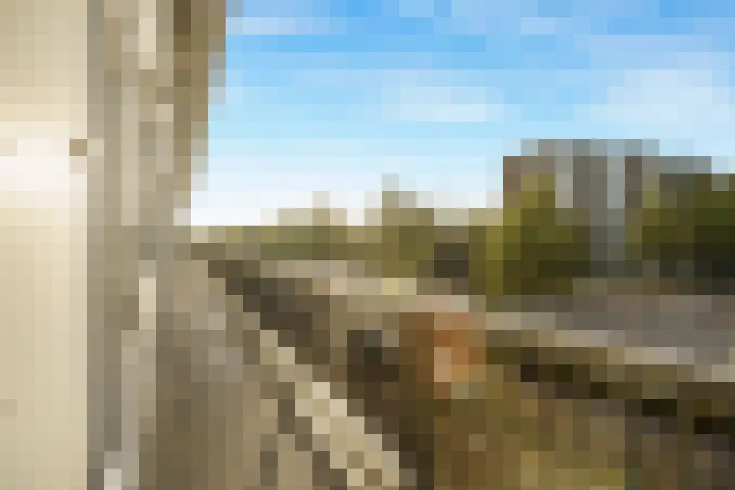 Pieter Calandlaan 257 Amsterdam thumbnail 34