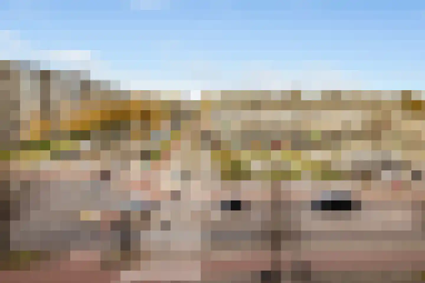 Pieter Calandlaan 277 Amsterdam thumbnail 28