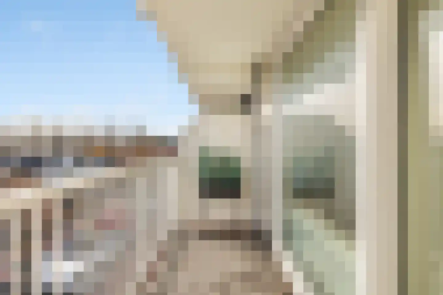 Pieter Calandlaan 277 Amsterdam thumbnail 9