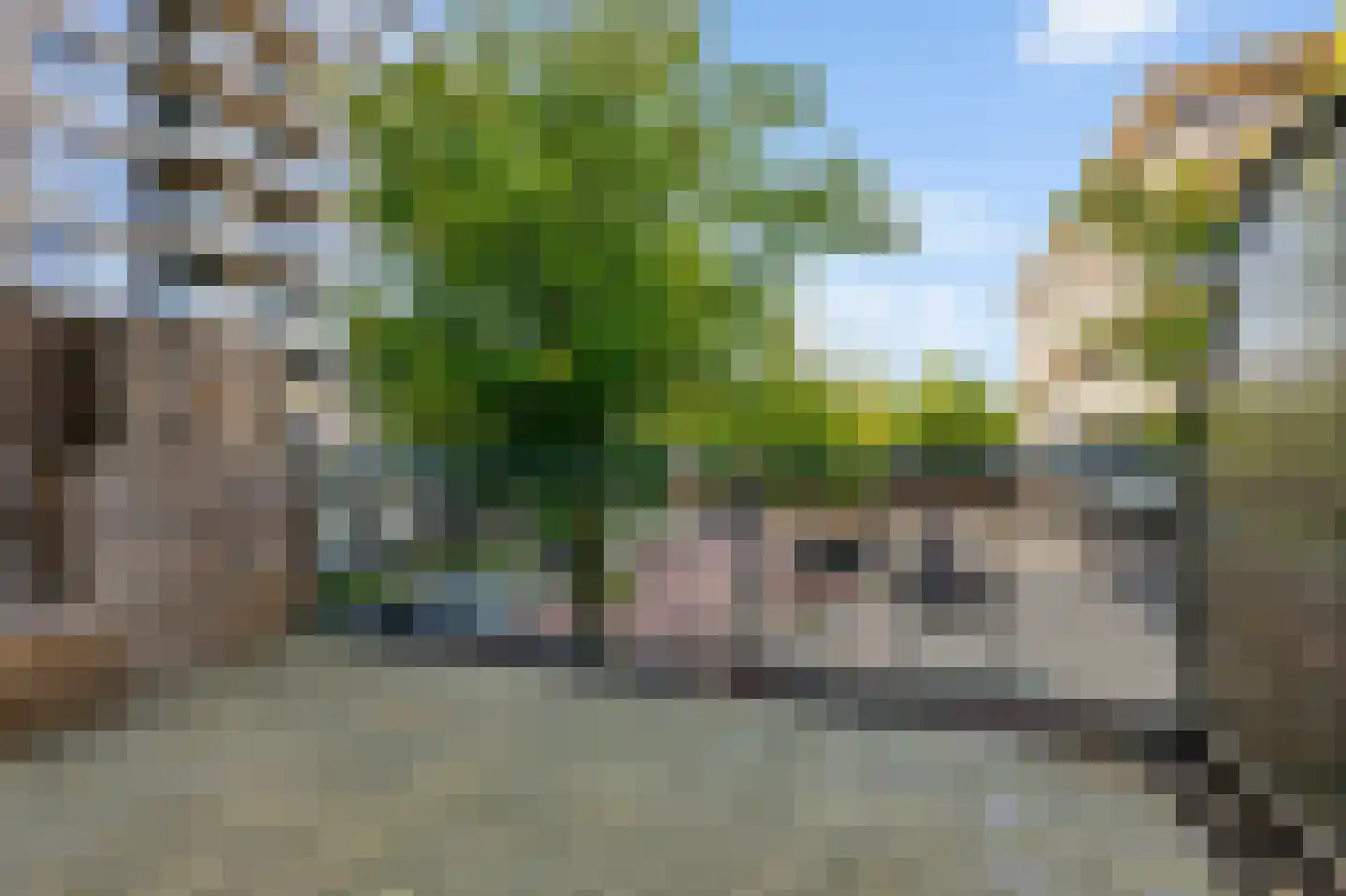 Pieter Calandlaan 31 Amsterdam thumbnail 11