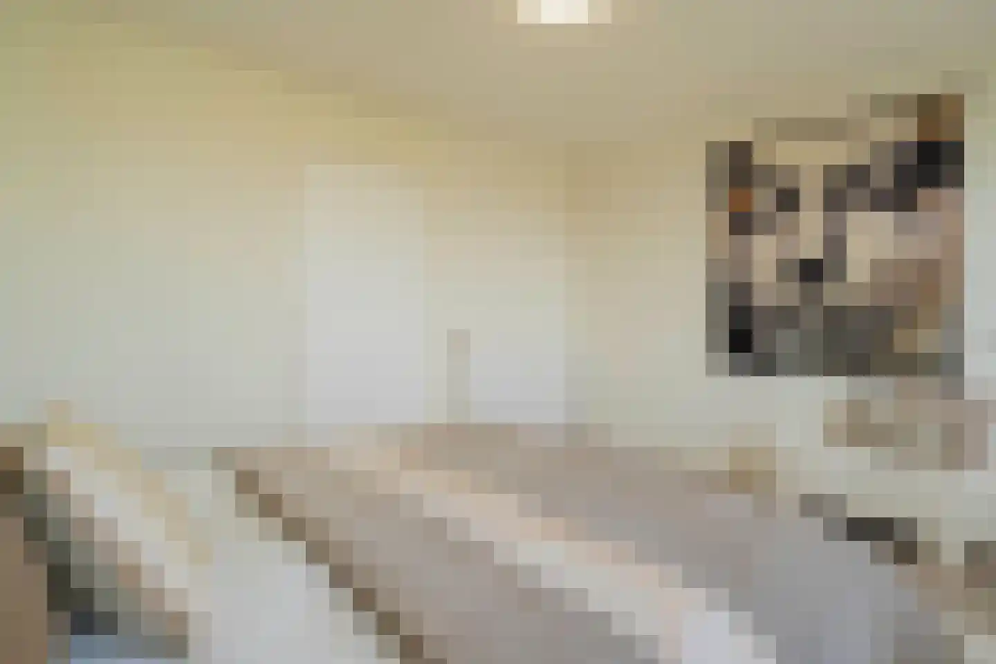Pieter Calandlaan 311 Amsterdam thumbnail 19