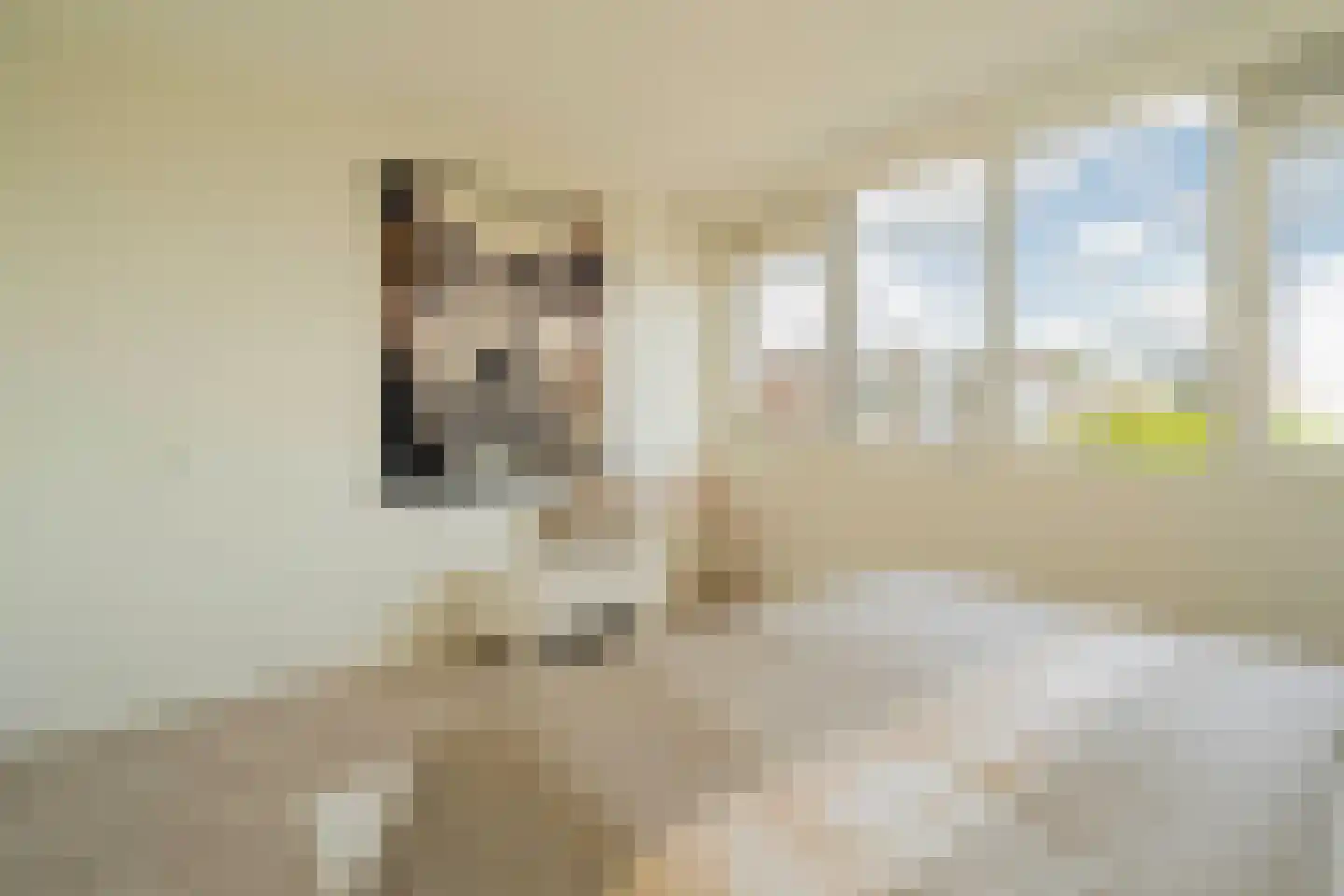 Pieter Calandlaan 311 Amsterdam thumbnail 20