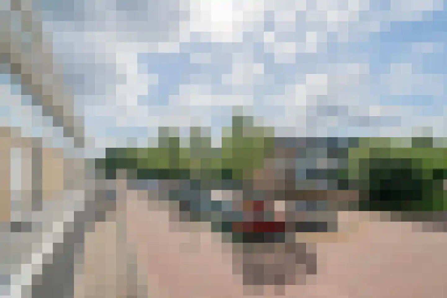 Pieter Calandlaan 311 Amsterdam thumbnail 26
