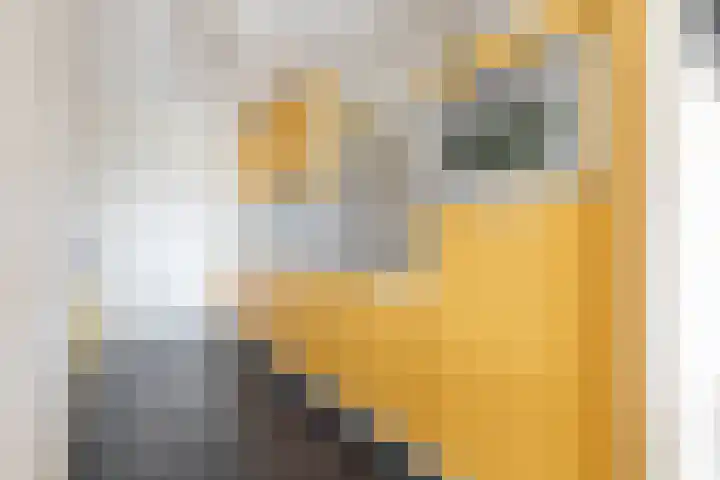 Pieter Calandlaan 406 Amsterdam thumbnail 10