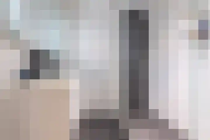 Pieter Calandlaan 406 Amsterdam thumbnail 17