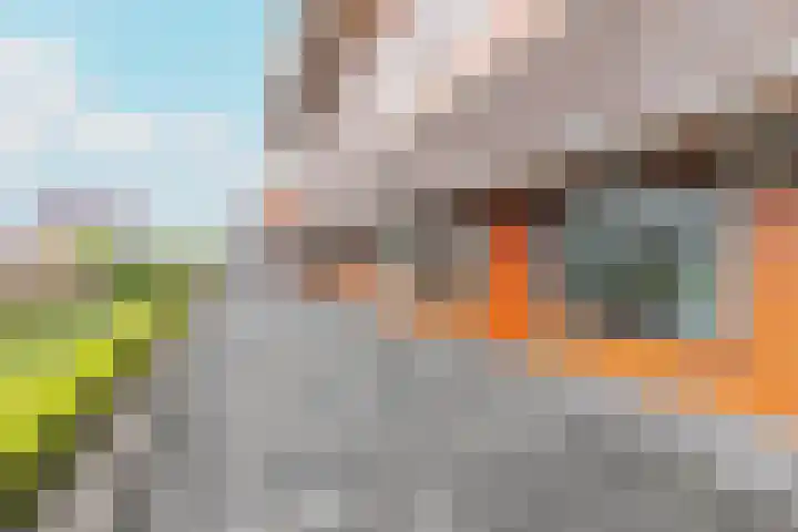 Pieter Calandlaan 406 Amsterdam thumbnail 36