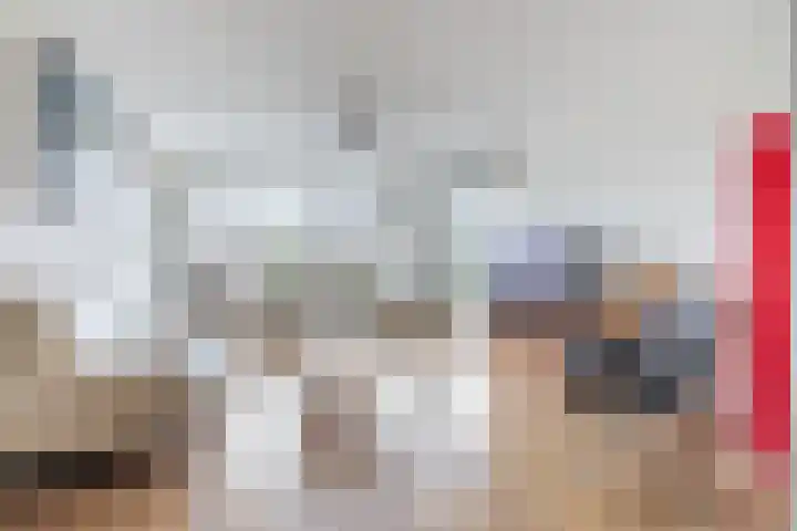 Pieter Calandlaan 406 Amsterdam thumbnail 5