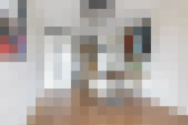 Pieter Calandlaan 406 Amsterdam thumbnail 9