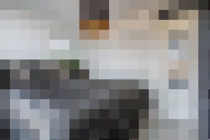 Pieter Calandlaan 412 Amsterdam thumbnail 19