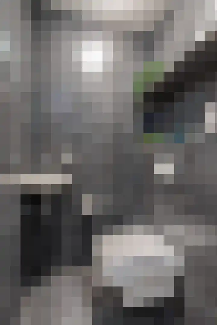 Pieter Calandlaan 412 Amsterdam thumbnail 25