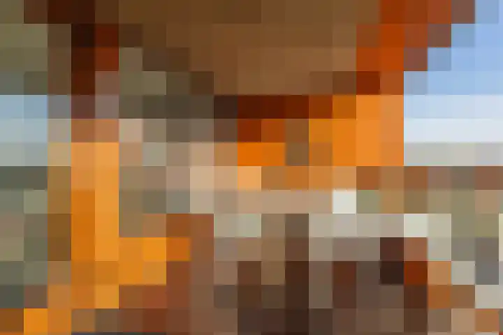 Pieter Calandlaan 412 Amsterdam thumbnail 32