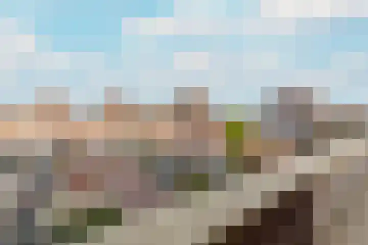 Pieter Calandlaan 412 Amsterdam thumbnail 40