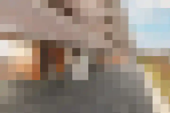 Pieter Calandlaan 412 Amsterdam thumbnail 44