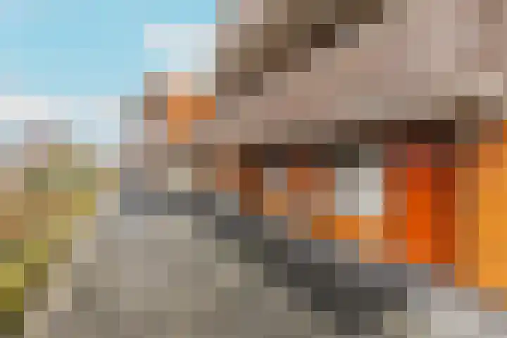 Pieter Calandlaan 412 Amsterdam thumbnail 45