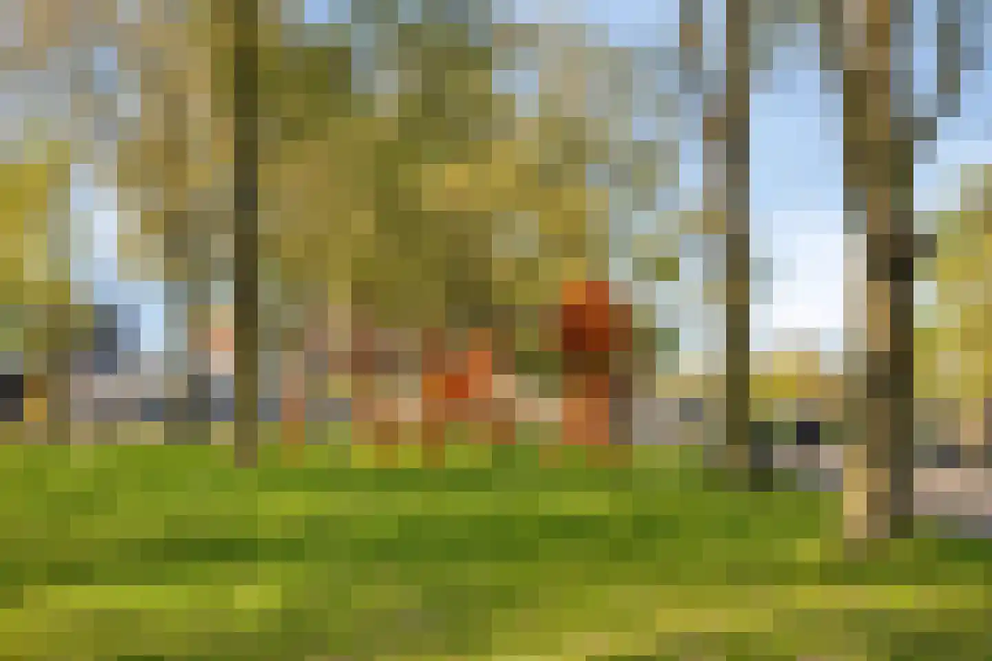 Pieter Calandlaan 431 Amsterdam thumbnail 6