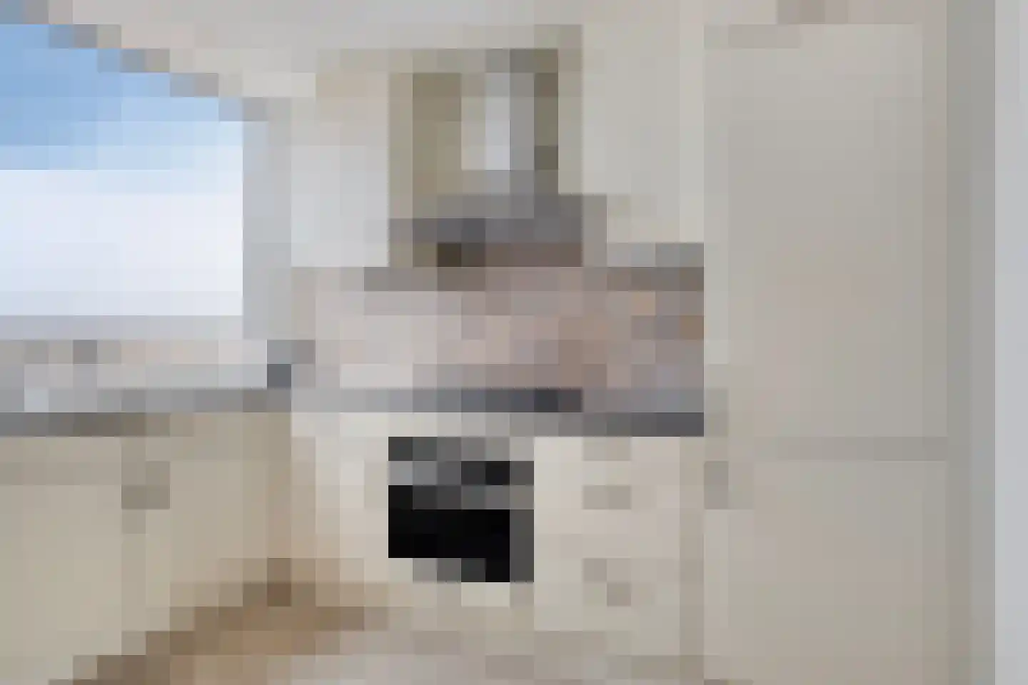 Pieter Calandlaan 431 Amsterdam thumbnail 7