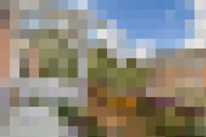 Pieter Calandlaan 44 2 Amsterdam thumbnail 11