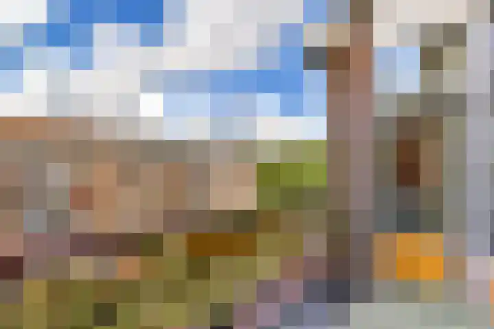 Pieter Calandlaan 44 2 Amsterdam thumbnail 12