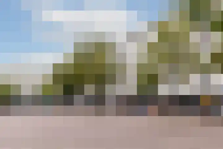 Pieter Calandlaan 44 2 Amsterdam thumbnail 22