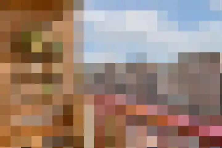 Pieter Calandlaan 44 2 Amsterdam thumbnail 8