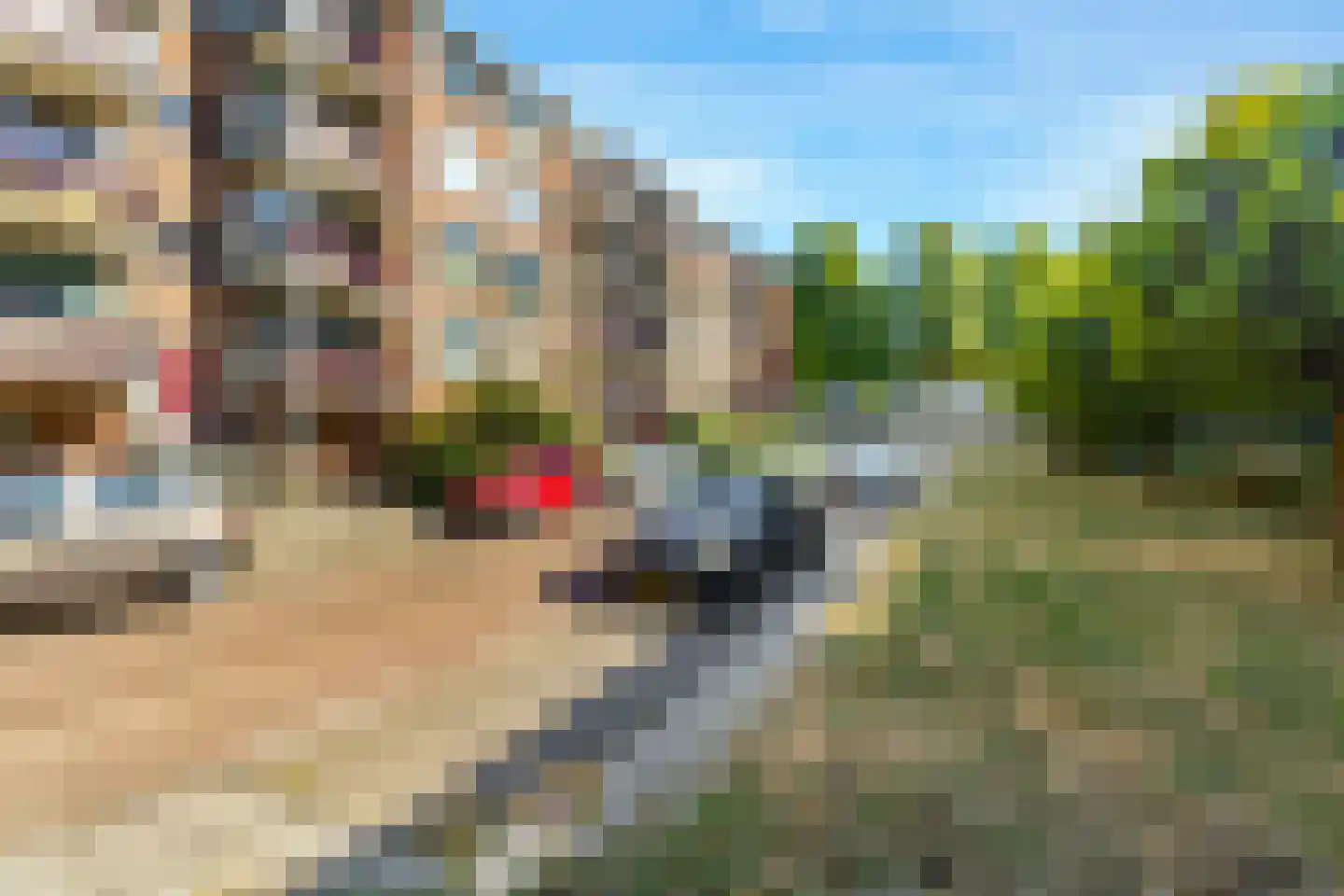 Pieter Calandlaan 48 1 Amsterdam thumbnail 35