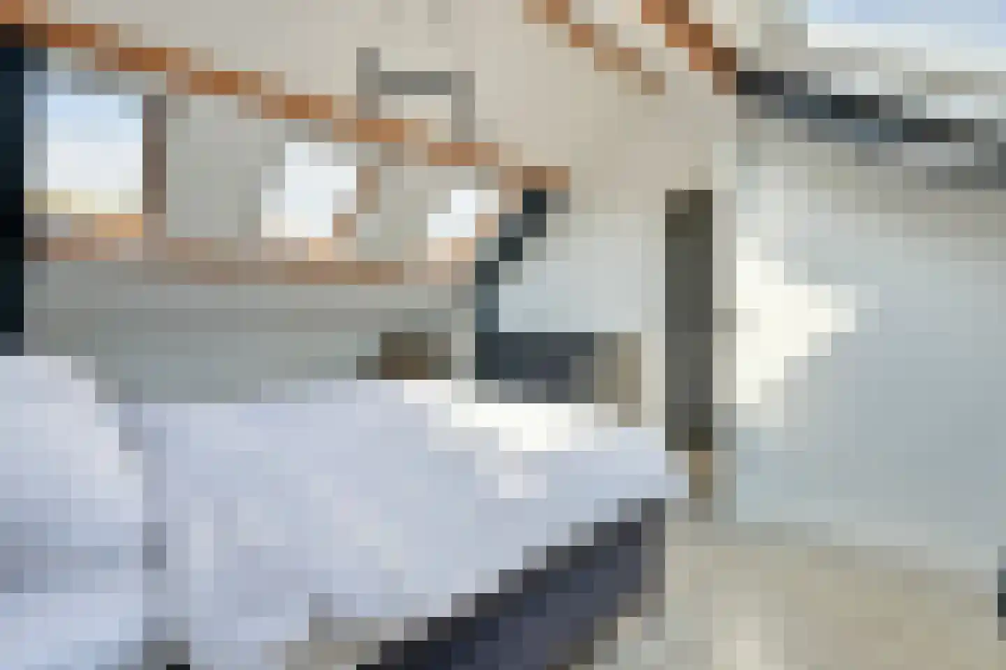 Pieter Calandlaan 487 Amsterdam thumbnail 31