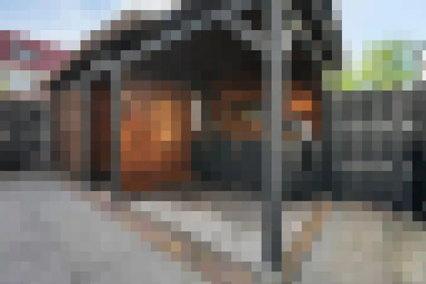 Pieter Calandlaan 487 Amsterdam thumbnail 37