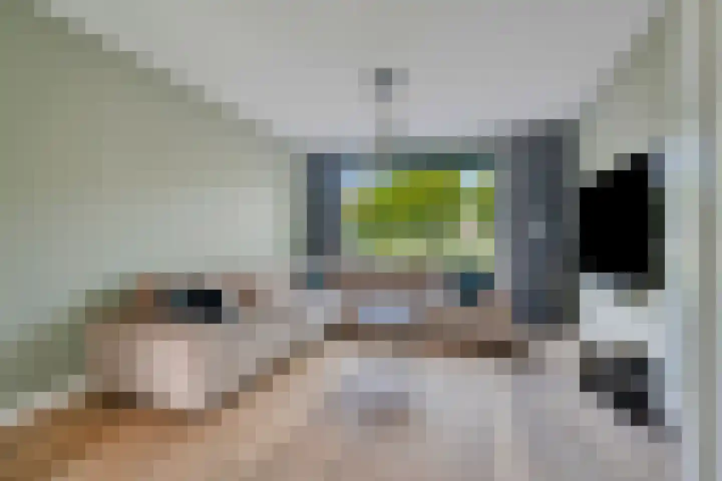 Pieter Calandlaan 487 Amsterdam thumbnail 7