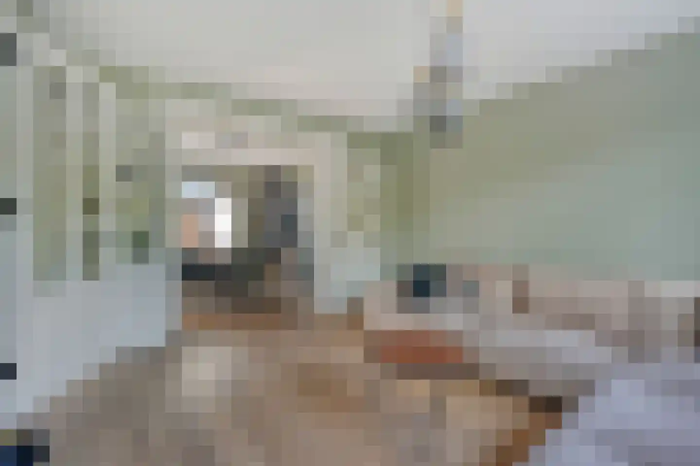 Pieter Calandlaan 487 Amsterdam thumbnail 9