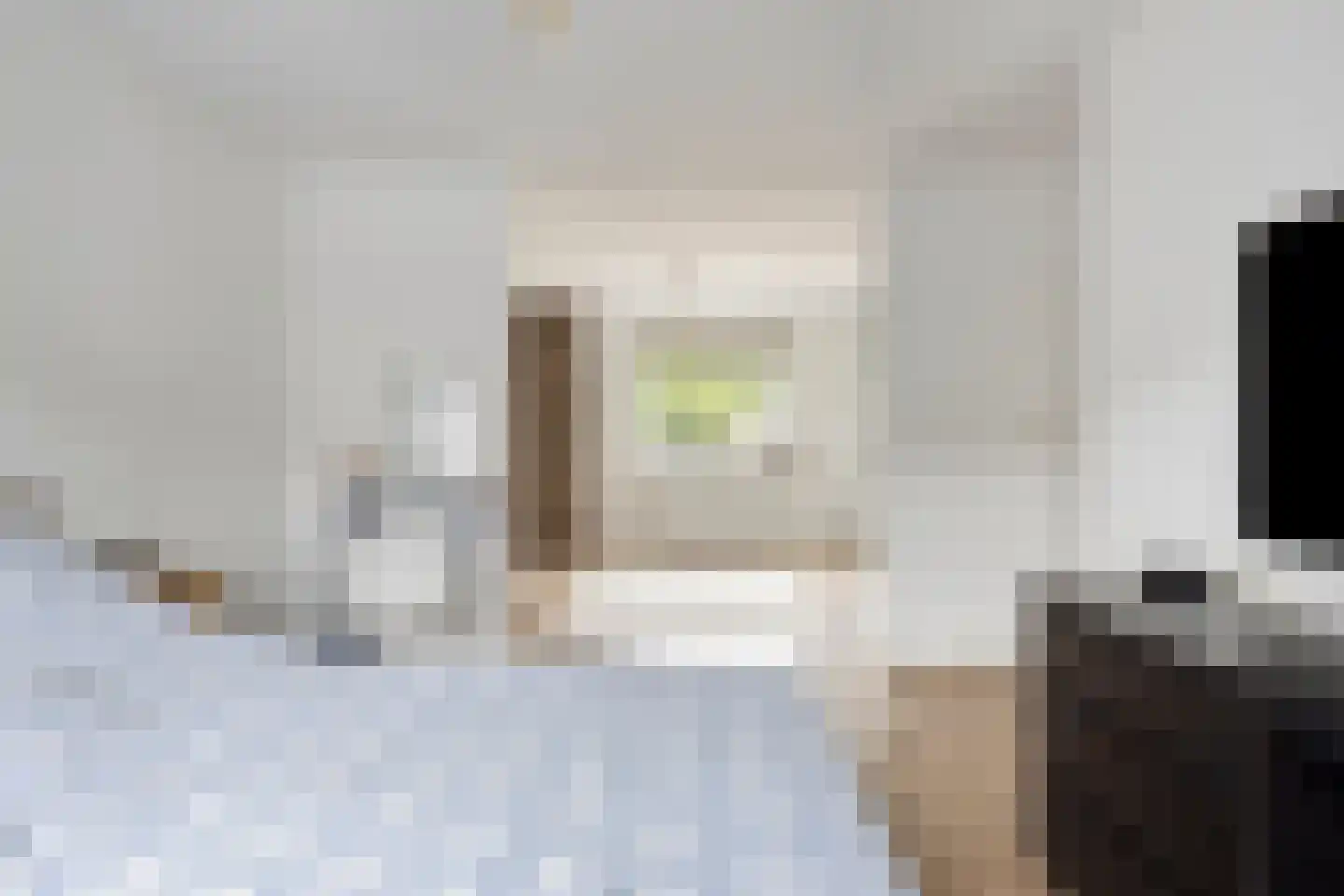 Pieter Calandlaan 489 Amsterdam thumbnail 18