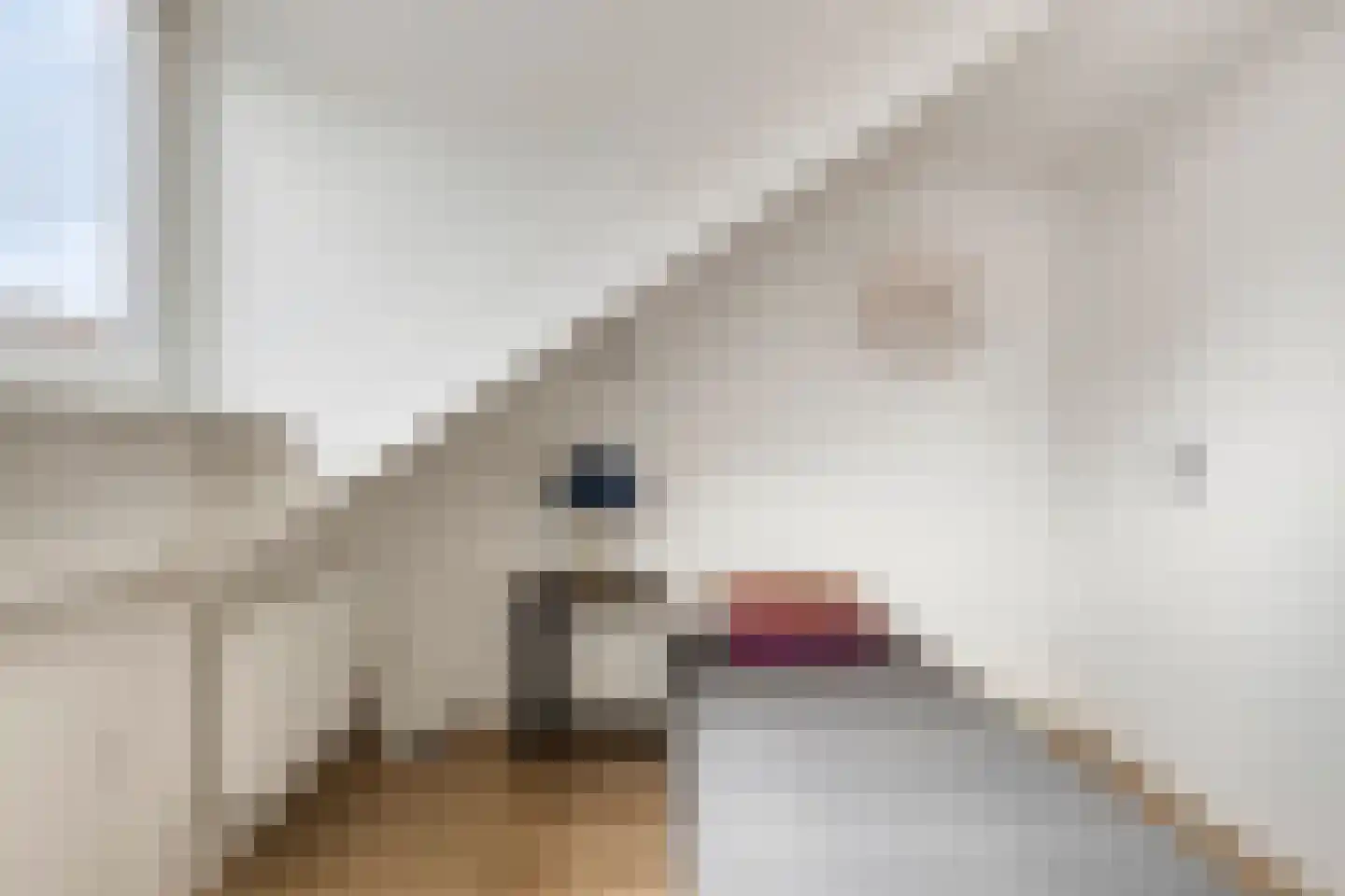 Pieter Calandlaan 489 Amsterdam thumbnail 27