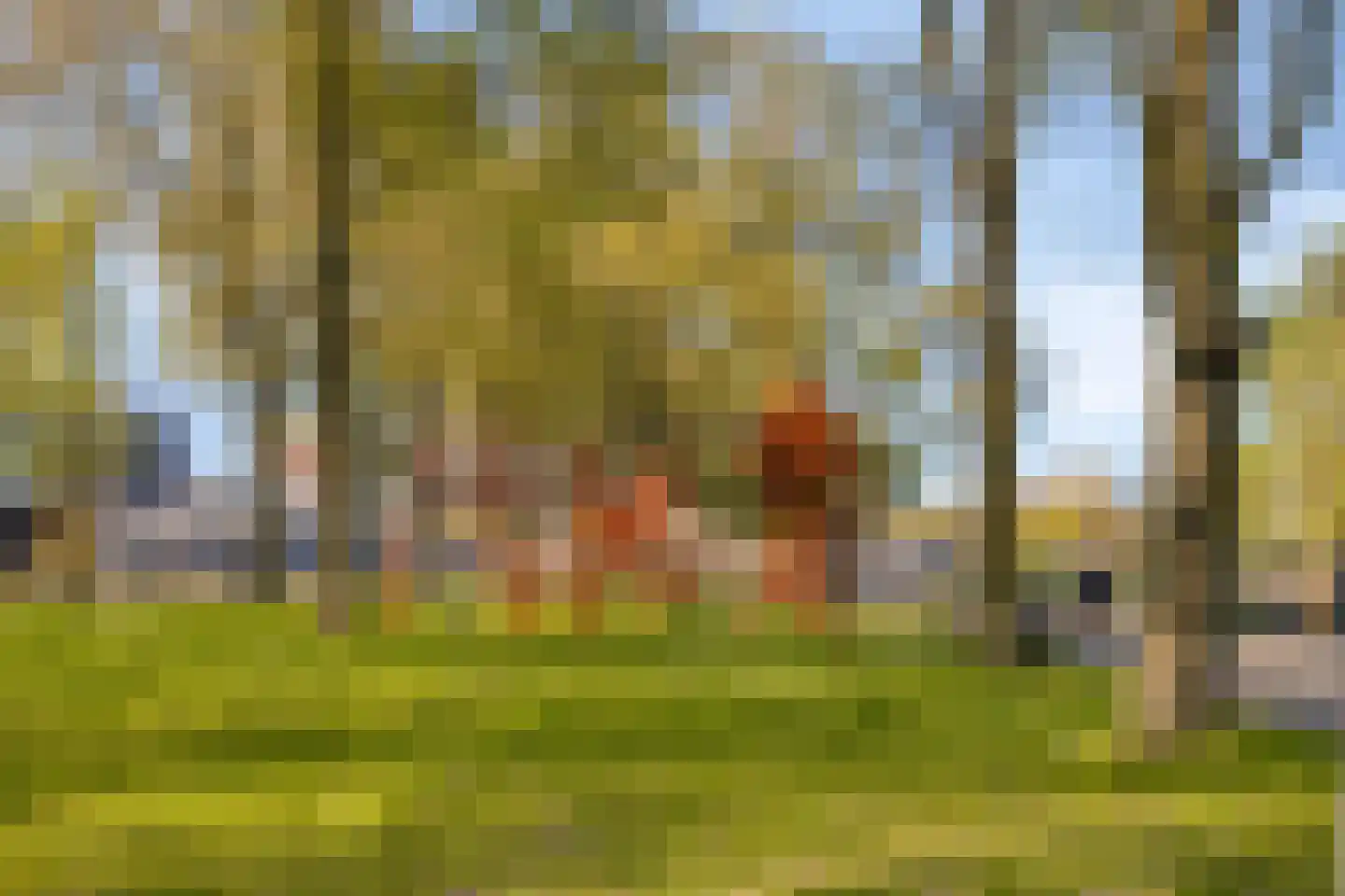 Pieter Calandlaan 489 Amsterdam thumbnail 41