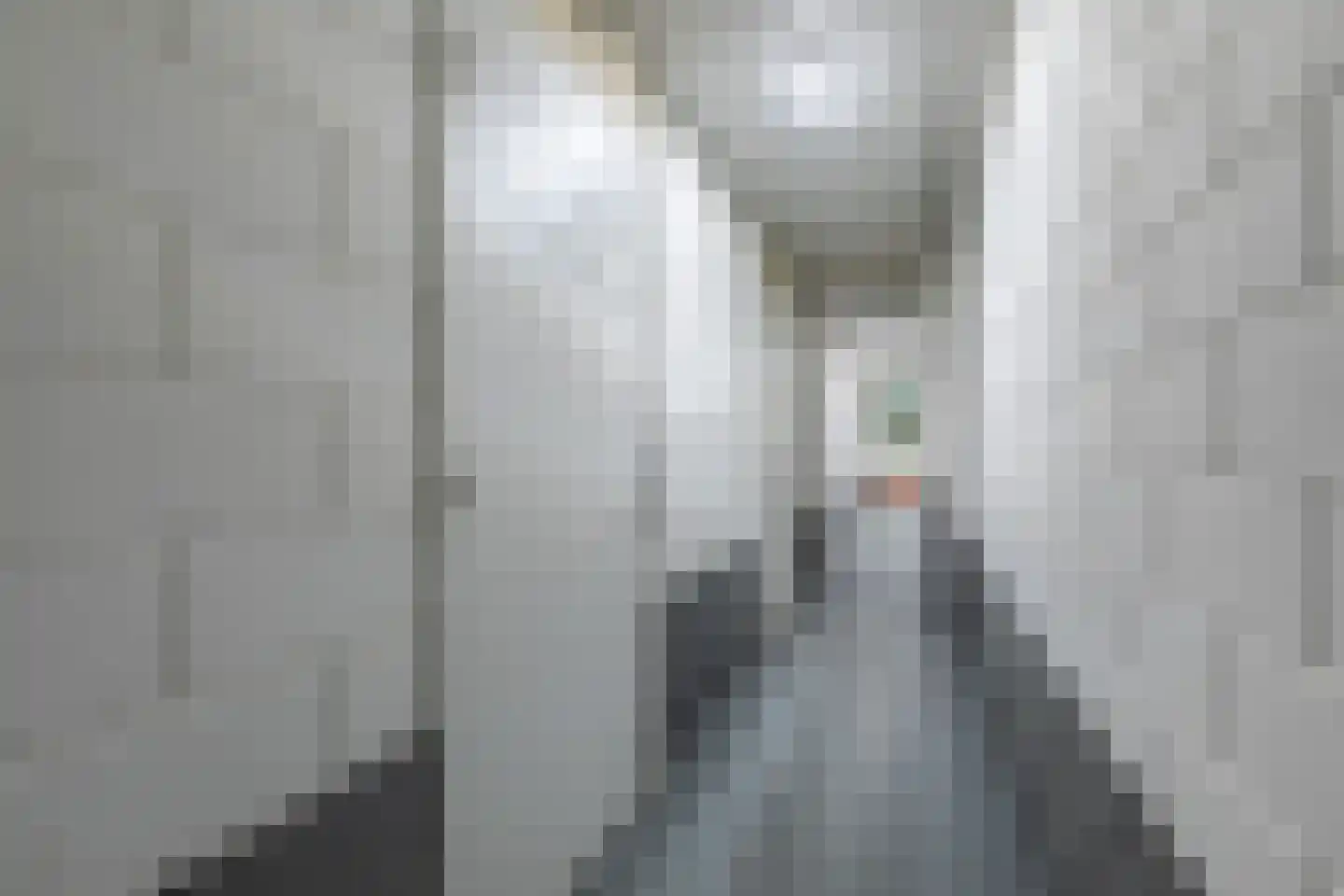 Pieter Calandlaan 566 Amsterdam thumbnail 29