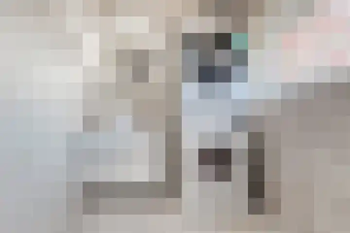 Pieter Calandlaan 660 Amsterdam thumbnail 25