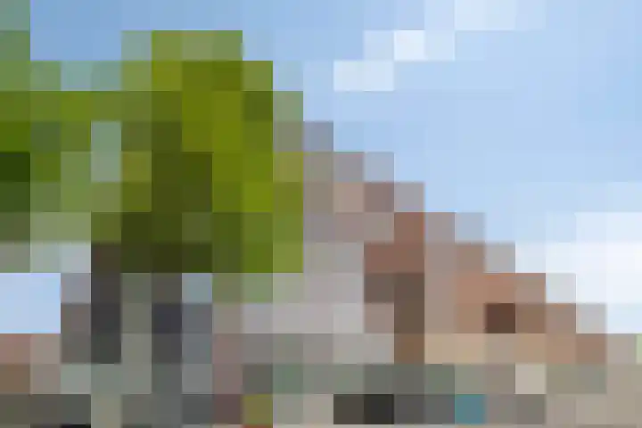 Pieter Calandlaan 660 Amsterdam thumbnail 35