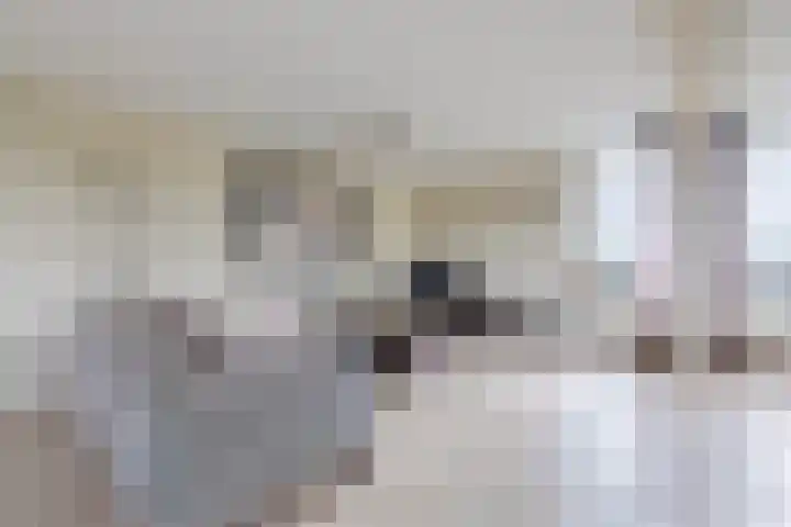 Pieter Calandlaan 668 Amsterdam thumbnail 11