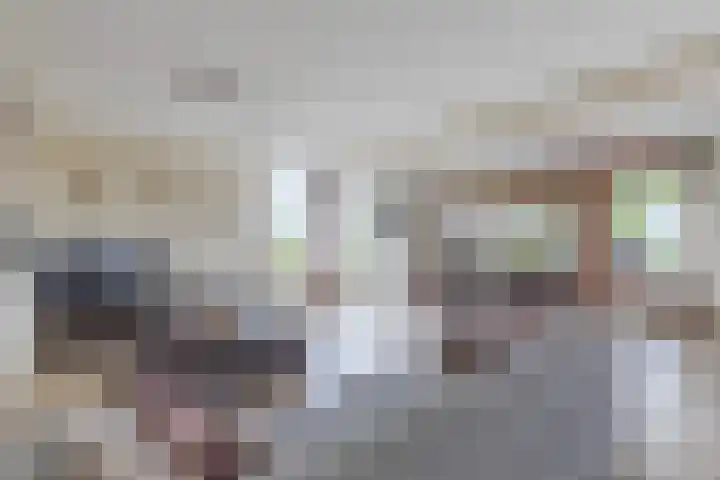 Pieter Calandlaan 668 Amsterdam thumbnail 12