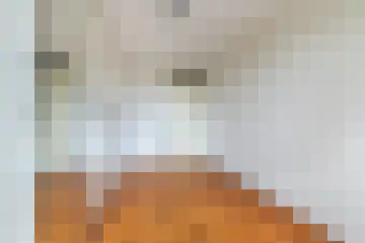 Pieter Calandlaan 668 Amsterdam thumbnail 18