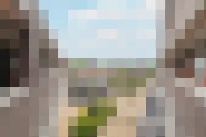 Pieter Calandlaan 668 Amsterdam thumbnail 31